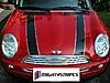 All of our stripes fit the R56 (07 -08) &amp; the 02-06 Mini coopers! CHECK US OUT NOW!-mighty-stripes-mini-cooper-028.jpg